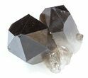 Smoky Quartz Crystal Cluster - Brazil #34684-1